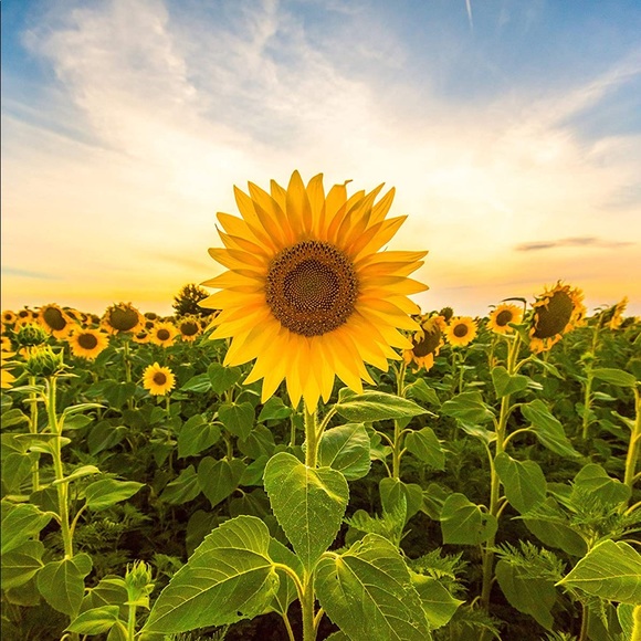 Meet your Posher, Kendria! - Picture 1 of 1